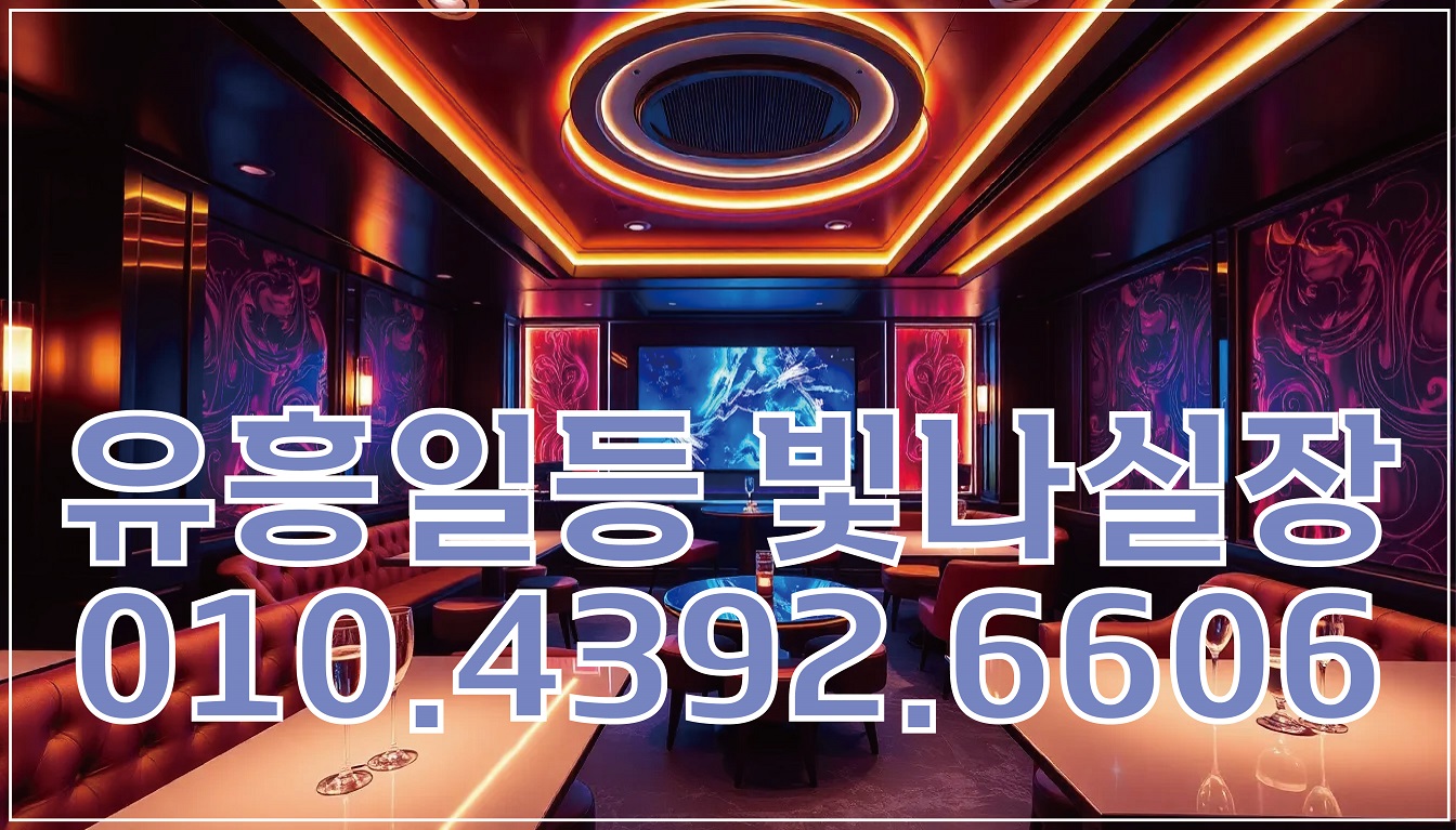 서울유흥 프리미엄 내부 전경